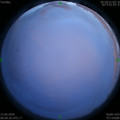 1591981792.jpg