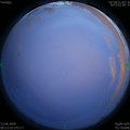 1591982033.jpg