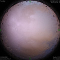 1591990437.jpg