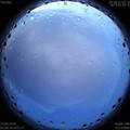 1591992087.jpg