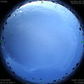 1591992778.jpg