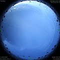 1591993123.jpg