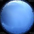 1591993183.jpg