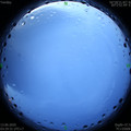 1591993798.jpg