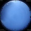 1591994864.jpg