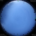 1591995164.jpg