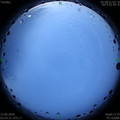 1591995224.jpg