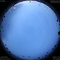 1591995284.jpg