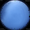 1591995344.jpg