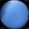 1591995479.jpg