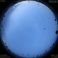 1591996019.jpg