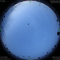 1591996454.jpg