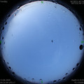 1591997115.jpg