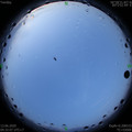1591997550.jpg