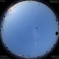 1591997925.jpg