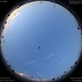 1591999066.jpg