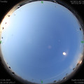 1592004003.jpg