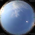 1592005159.jpg