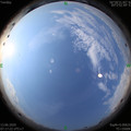 1592007455.jpg
