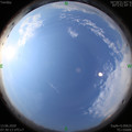 1592008235.jpg