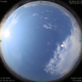 1592008611.jpg