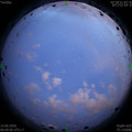 1592068175.jpg