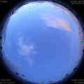1592075874.jpg