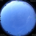 1592077750.jpg