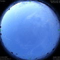 1592078005.jpg