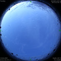 1592078545.jpg