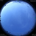 1592078740.jpg