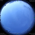 1592079025.jpg