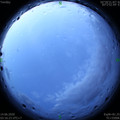 1592079415.jpg