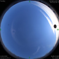1592135468.jpg