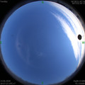 1592135858.jpg