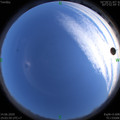 1592136263.jpg