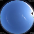 1592137434.jpg