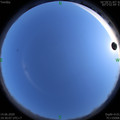 1592137824.jpg