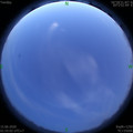 1592160936.jpg