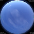 1592161056.jpg