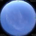 1592161596.jpg
