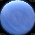 1592161986.jpg