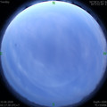 1592162286.jpg