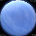 1592162346.jpg