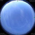 1592163307.jpg
