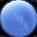 1592163637.jpg