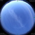 1592163772.jpg