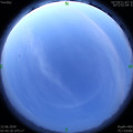 1592163952.jpg