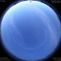 1592164102.jpg