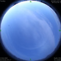 1592164477.jpg